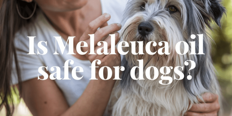 is melaleuca oil safe for dogs