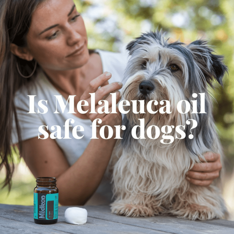 is melaleuca oil safe for dogs