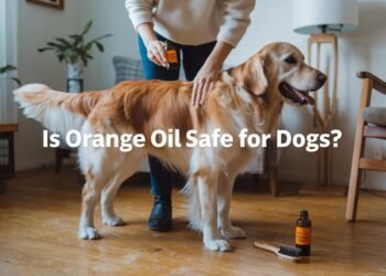 is orange oil safe for dogs