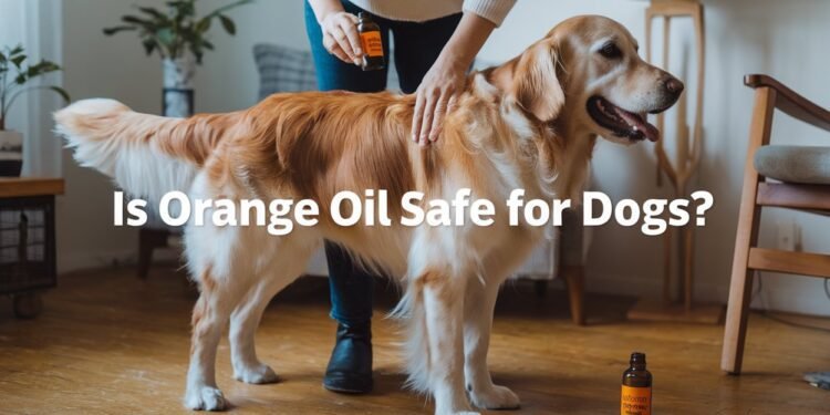 is orange oil safe for dogs