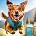 kirkland 8 in 1 dog supplement reviews