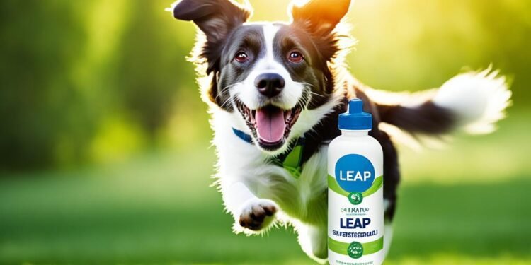 leap years dog supplement review