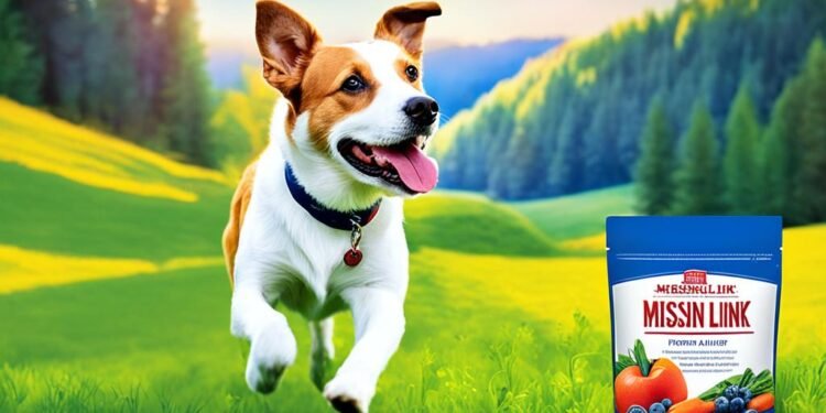 missing link dog food supplement