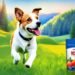 missing link dog food supplement