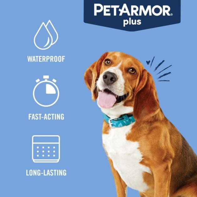 PetArmor Plus flea and tick prevention in dogs