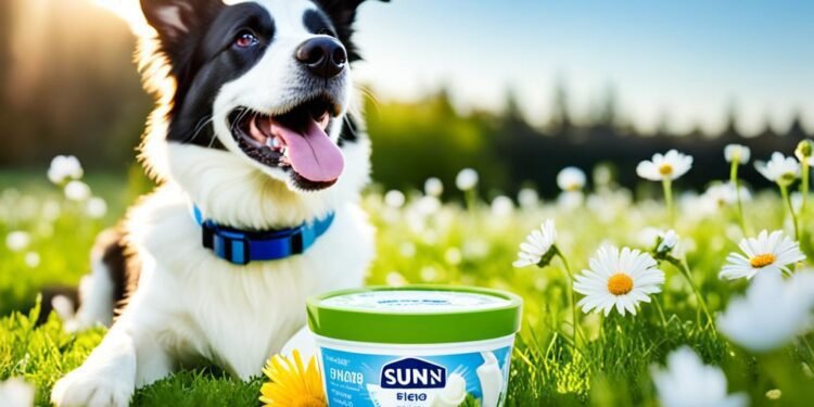 purina fortiflora dog nutritional supplement