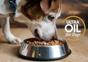 ultra oil for dogs