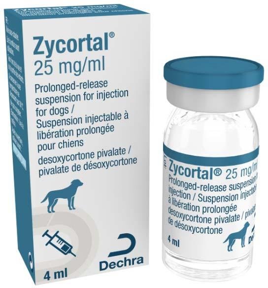 Zycortal for dogs