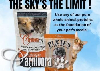 Carnivora Supplement for Dogs