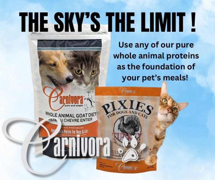 Carnivora Supplement for Dogs