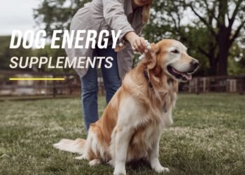 Dog energy supplements