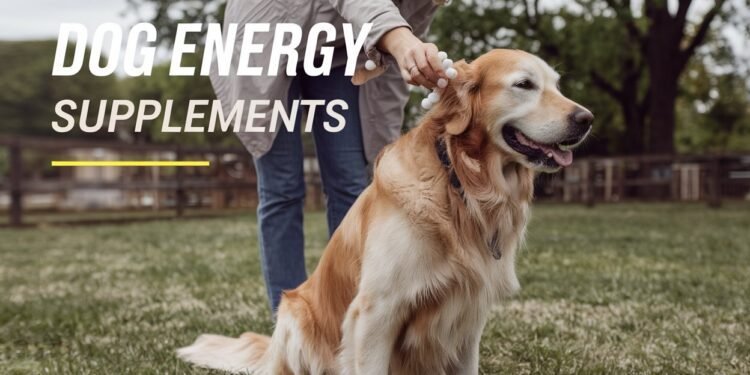 Dog energy supplements