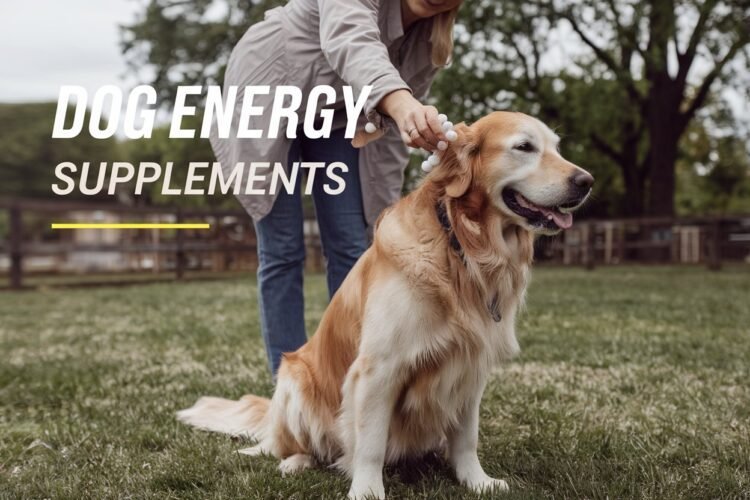 Dog energy supplements