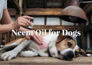 Neem oil for dogs