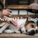 Neem oil for dogs
