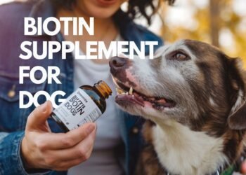 biotin supplement for dogs