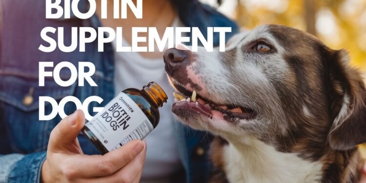 biotin supplement for dogs
