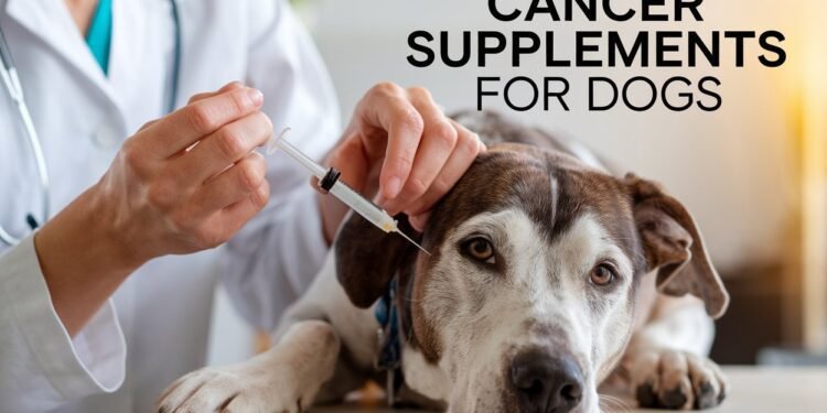 Cancer Supplements for Dogs: Support Your Pet’s Health