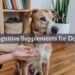 cognitive supplement for dogs