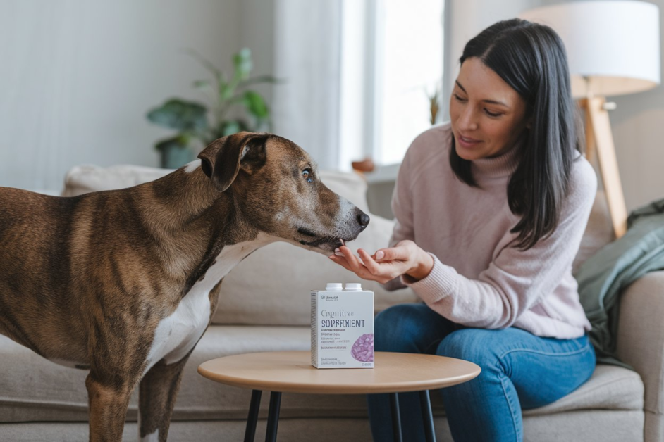 brain health supplements for dogs