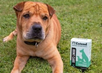 extend supplement for dogs