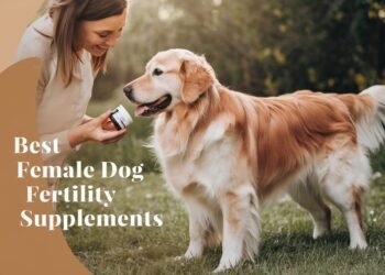 female dog fertility supplement
