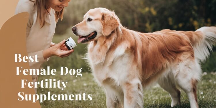 female dog fertility supplement