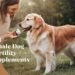 female dog fertility supplement