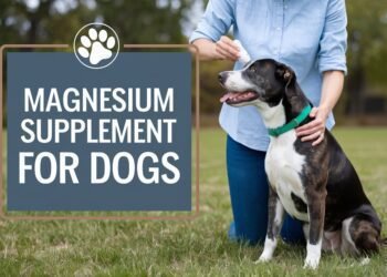 magnesium supplement for dogs