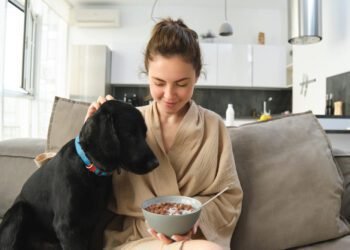 nupro supplement for dogs