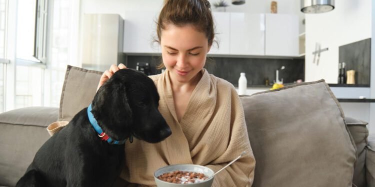 nupro supplement for dogs