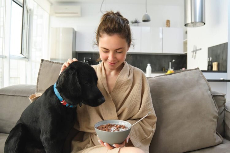 nupro supplement for dogs