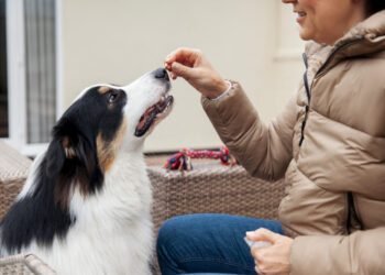 Origins Dog Supplement