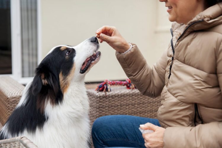 Origins Dog Supplement