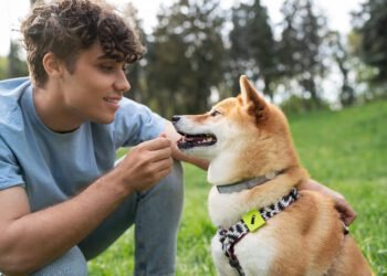 Effective Dog Behavioral Supplements for Canine Care