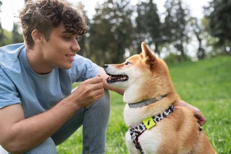 Effective Dog Behavioral Supplements for Canine Care