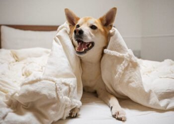 cushing's supplement for dogs