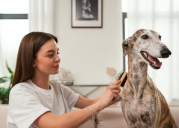 Dog Hair Growth Supplements