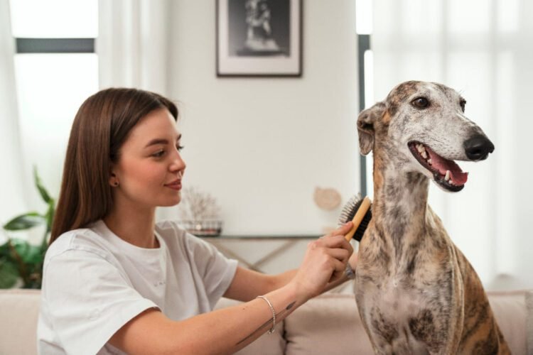 Dog Hair Growth Supplements