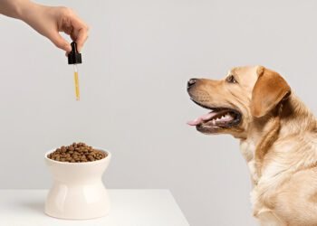Collagen Supplements for Dogs