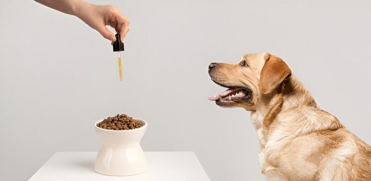 Collagen Supplements for Dogs