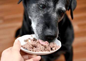 raw dog food supplements