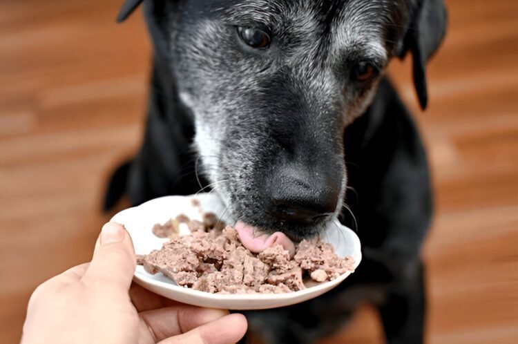 raw dog food supplements