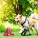 Best dog harness with handle top picks 2025