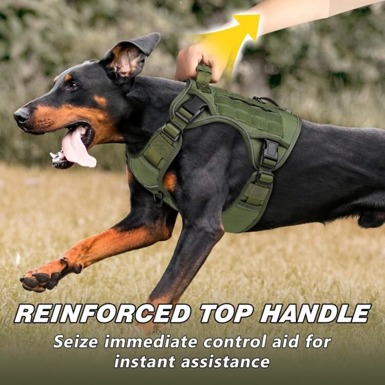 Best Dog Harness with Handle: Top Picks for 2025