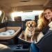 Dog car seat picks for pet safety