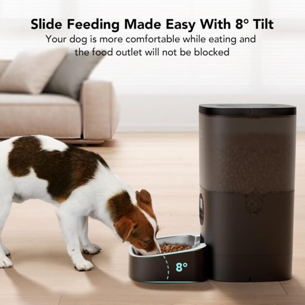 best Automatic Dog Feeders