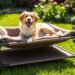 best dog cot comfort for your pet