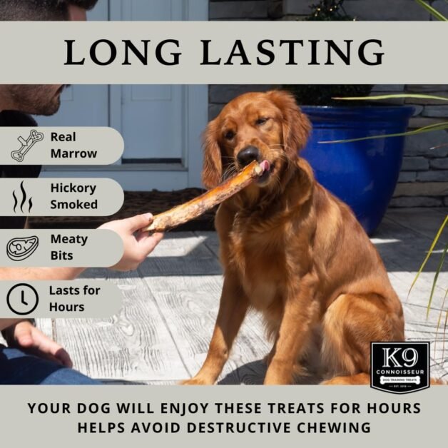 dog bones