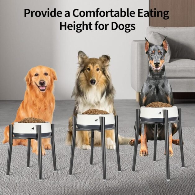 Dog Bowl Stand